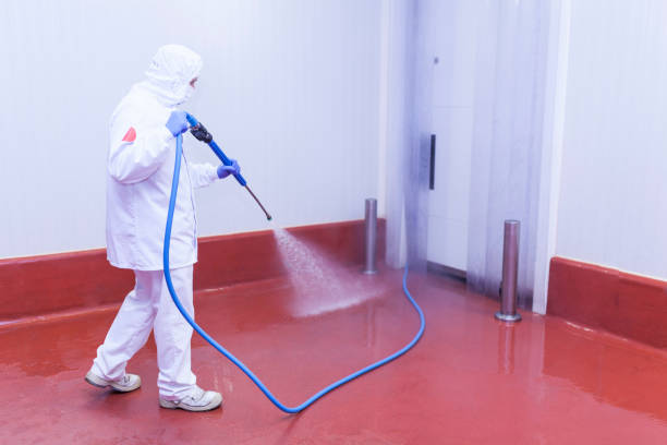 Best Graffiti Removal Services in Gainesboro, TN